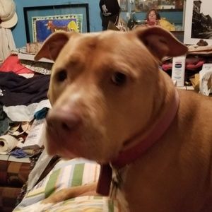 Meet your Posher, Loryjean